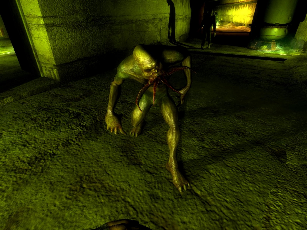 S.T.A.L.K.E.R. face à l'horreur