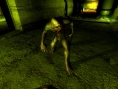 S.T.A.L.K.E.R. face à l'horreur
