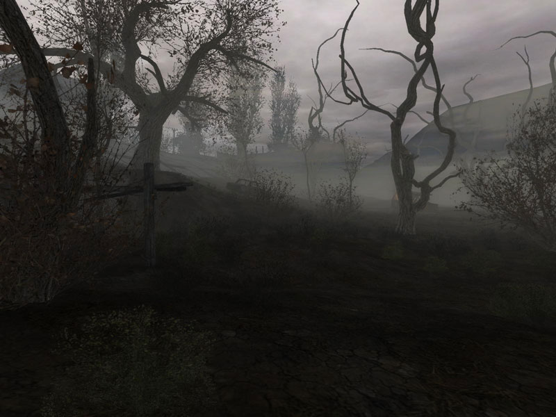 S.T.A.L.K.E.R. dans les décombres