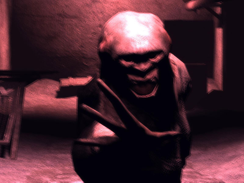 S.T.A.L.K.E.R. dans les décombres