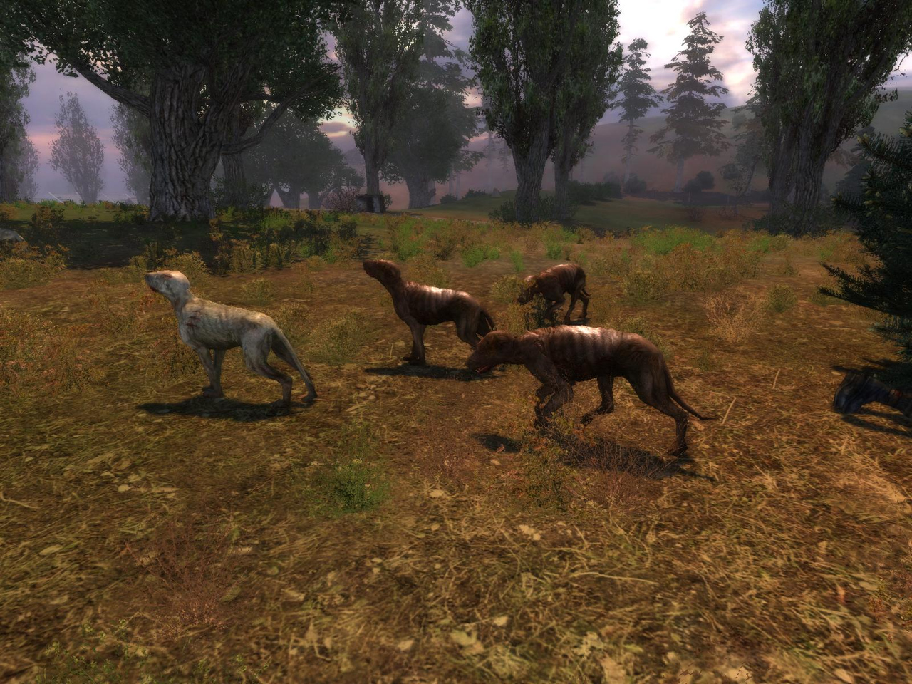 S.T.A.L.K.E.R. et sa faune locale