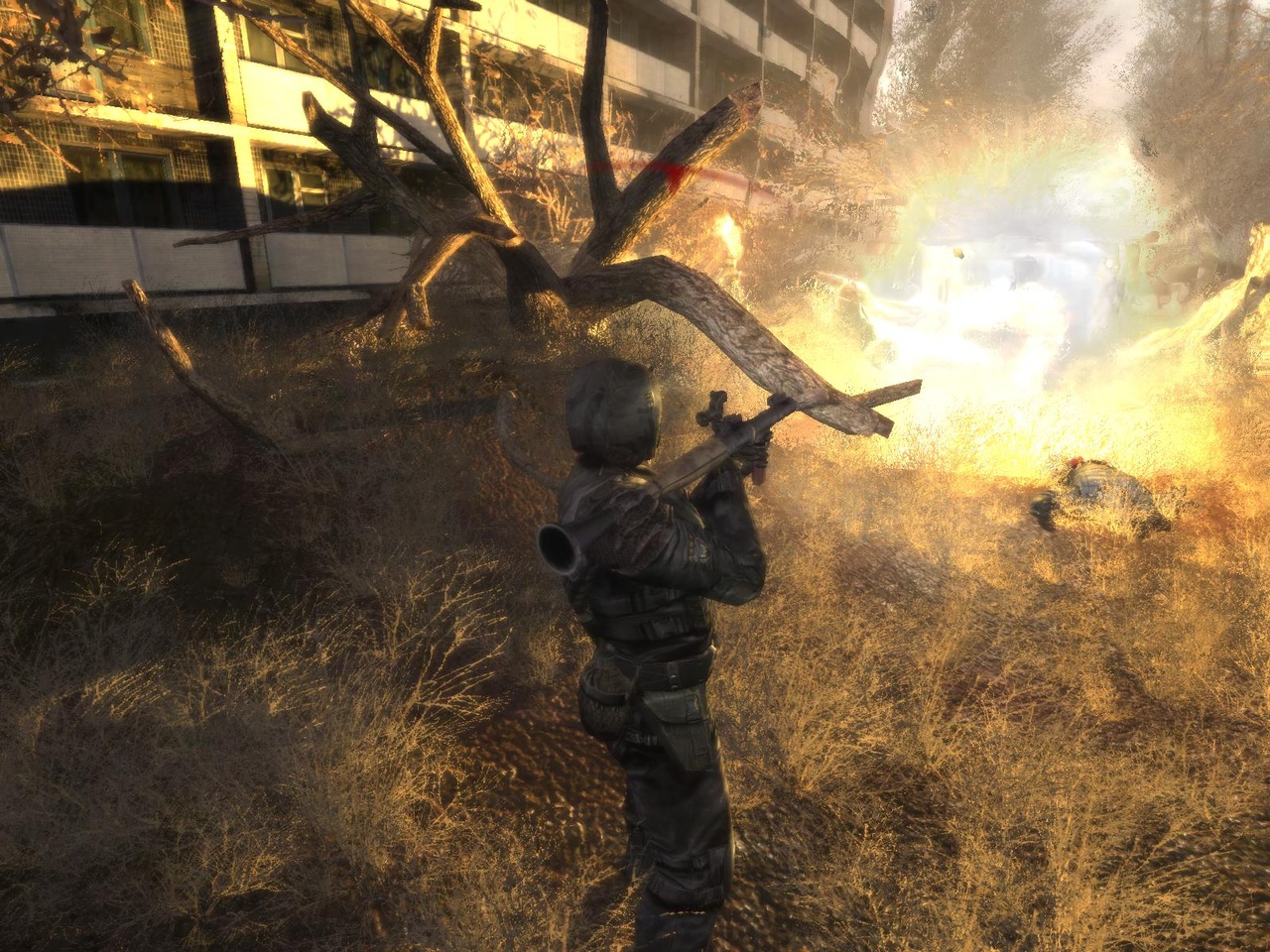 S.T.A.L.K.E.R sort de l'ombre