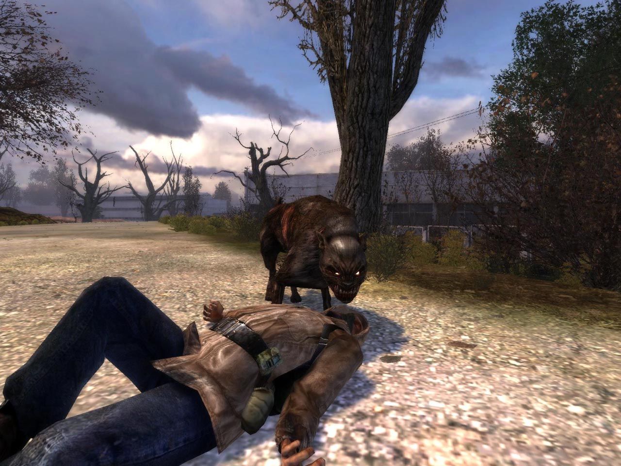 S.T.A.L.K.E.R en action