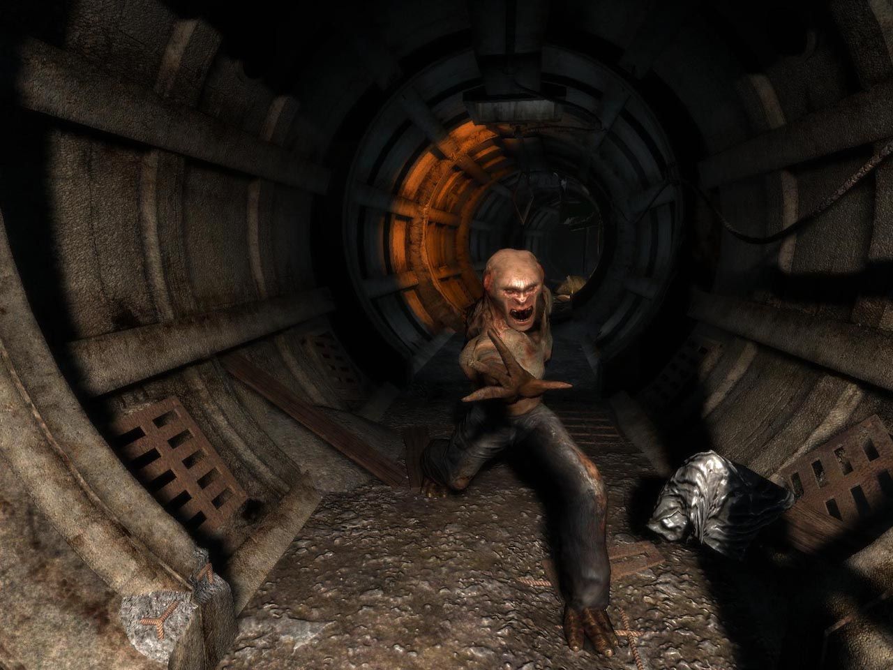 S.T.A.L.K.E.R en action