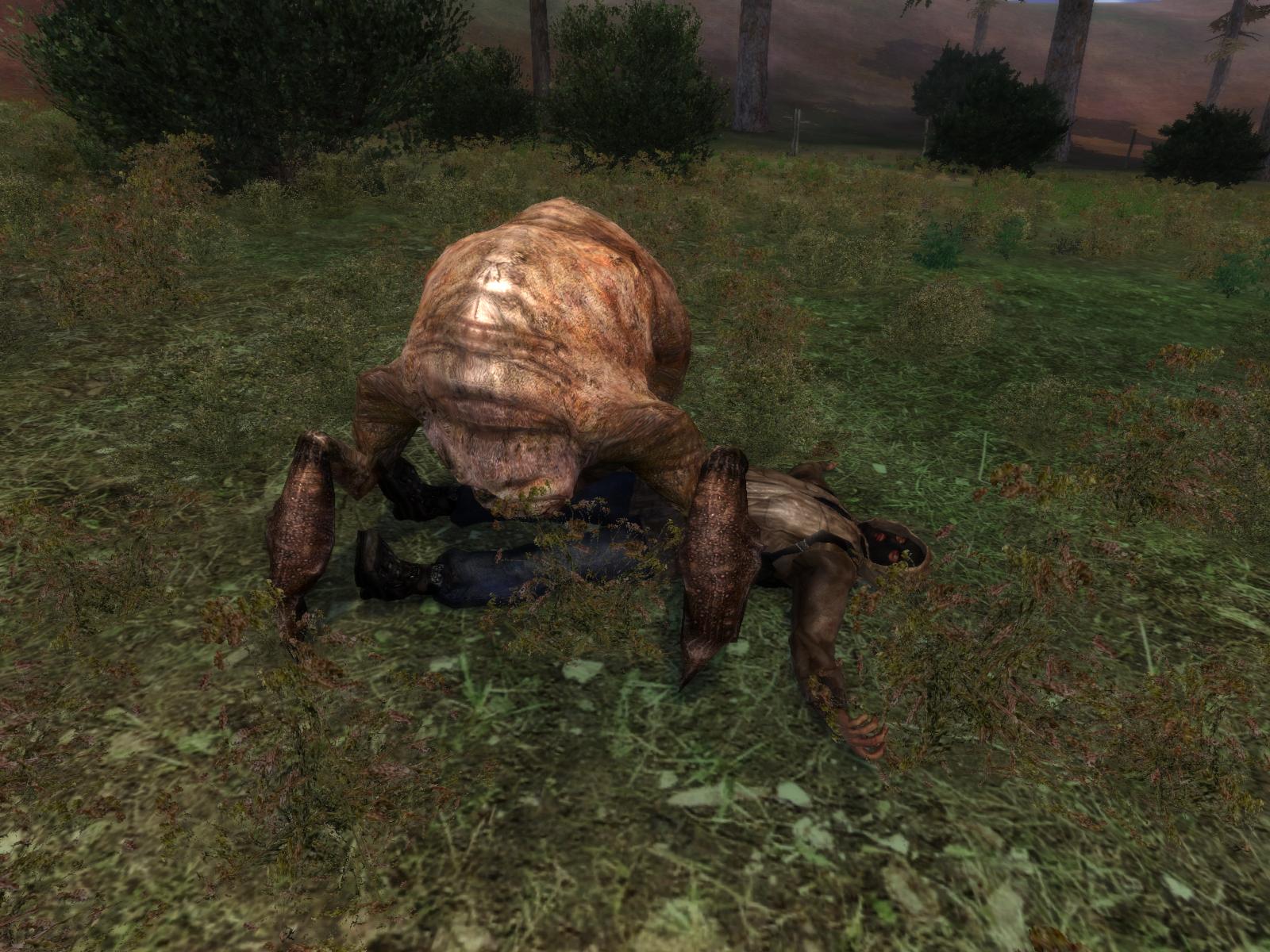 S.T.A.L.K.E.R. de nouveau illustré