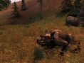 S.T.A.L.K.E.R : images et vidéo