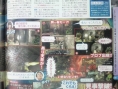 Famitsu : scans et notes de la semaine