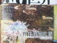 Famitsu : scans et notes (Super Mario Galaxy 2)