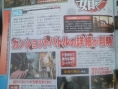 Famitsu Magazine : Golden Sun DS reçoit sa note