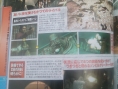 Famitsu Magazine : Golden Sun DS reçoit sa note
