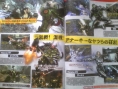 Famitsu : scans de la semaine (+ notes 3DS !)