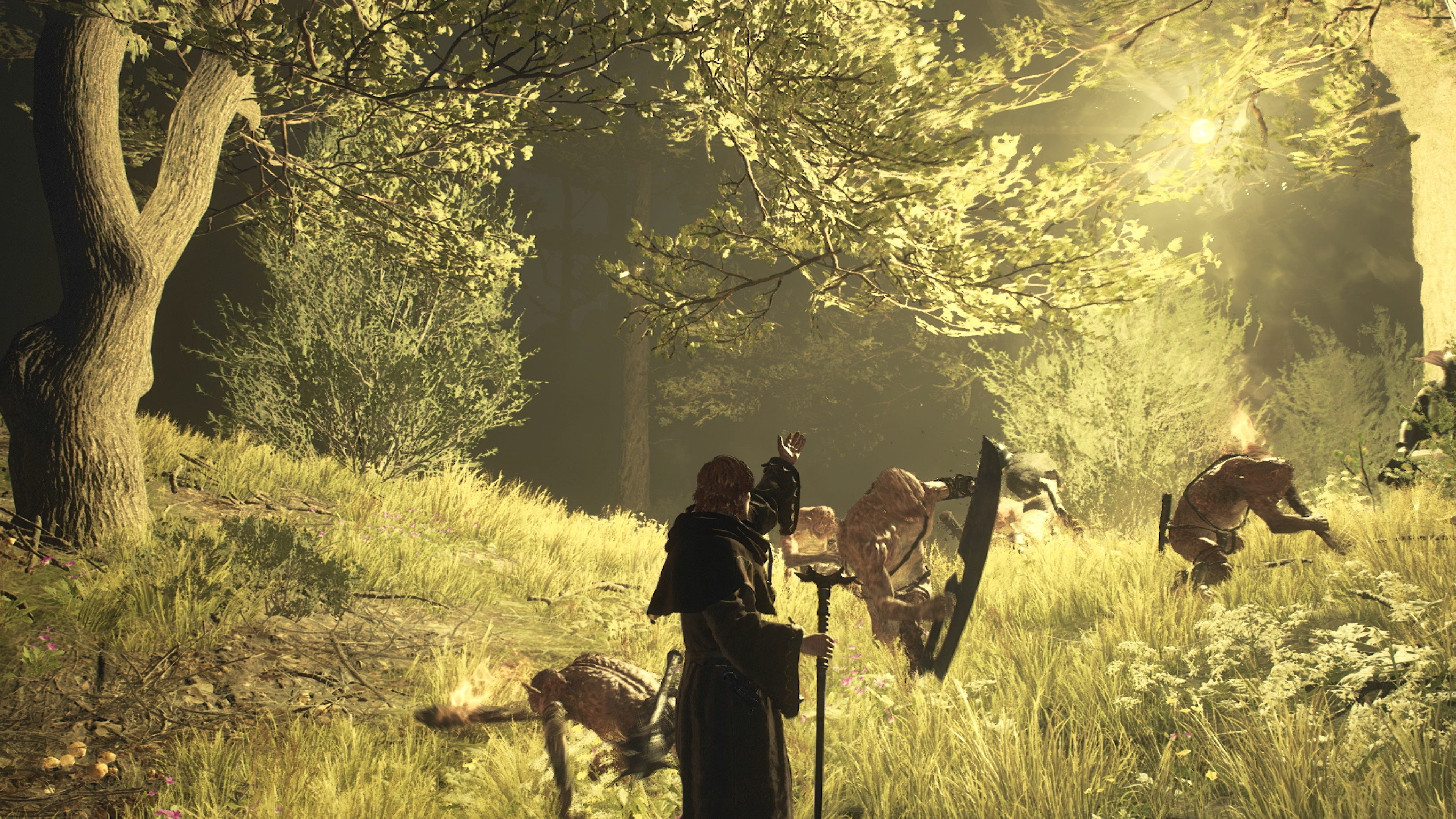 Dragon's Dogma II gardera ses principaux atouts dans un monde 4 fois plus grand