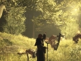 Dragon's Dogma II gardera ses principaux atouts dans un monde 4 fois plus grand