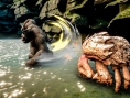 Skull Island : Rise of Kong officialisé