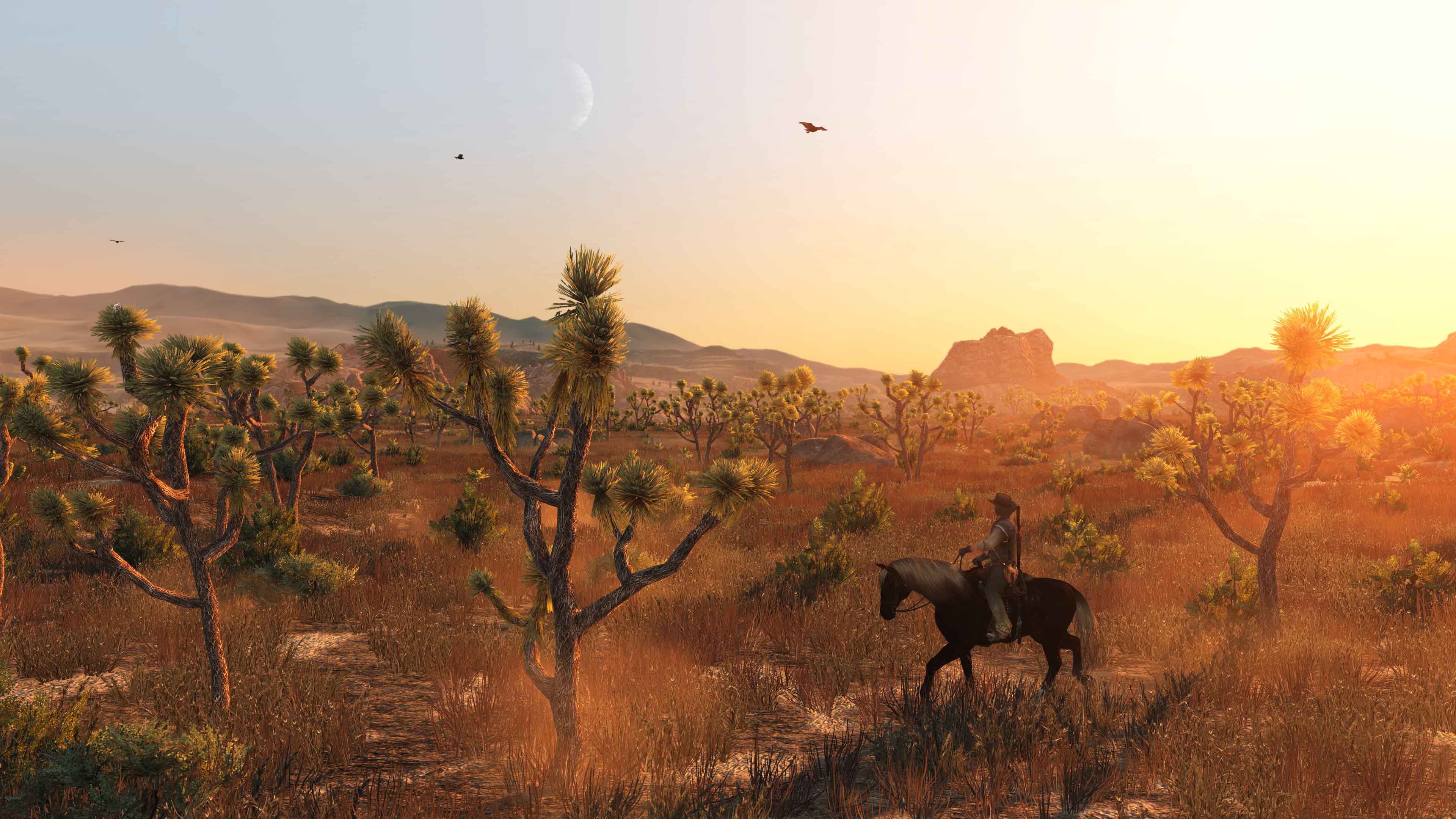 Après 14 ans d'attente, Red Dead Redemption 1 est officialisé et daté sur PC