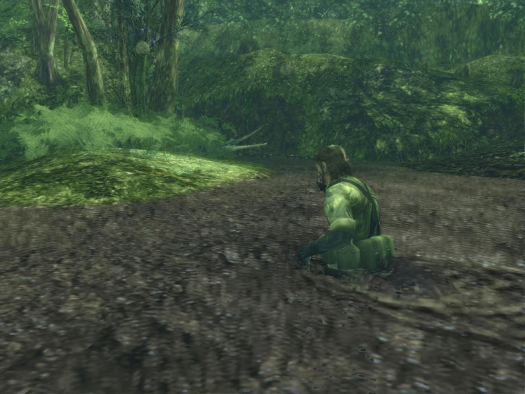 Le Snake en images