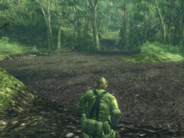 Le Snake en images