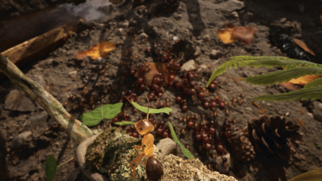 L'adaptation des Fourmis donne des nouvelles