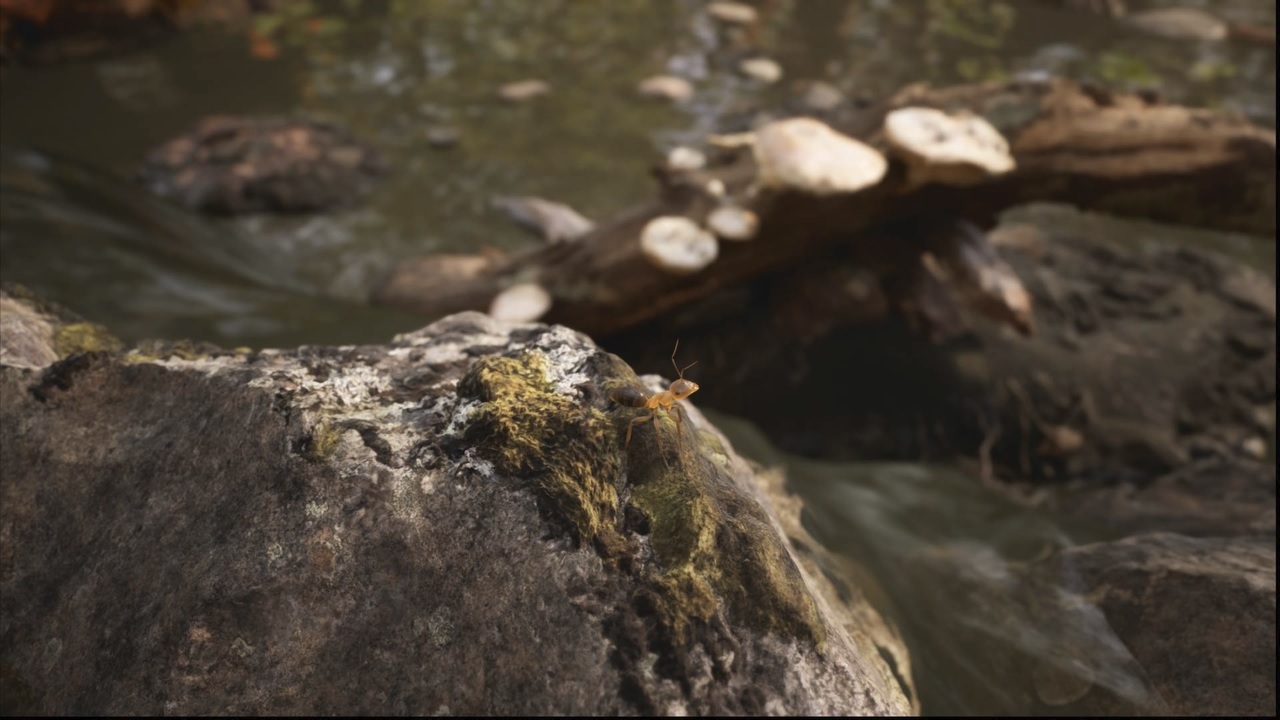L'adaptation des Fourmis donne des nouvelles