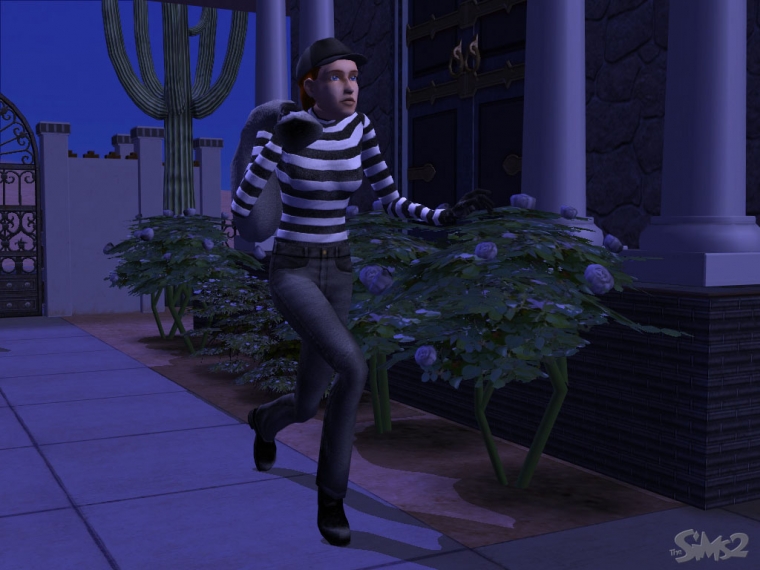 Vidéo Les Sims 2