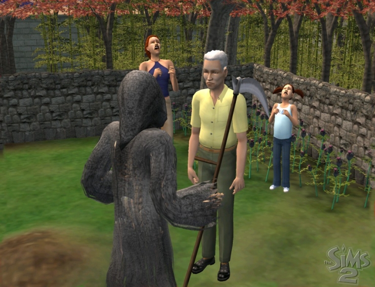 Les Sims 2 : plus d'images