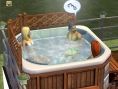 Présentation Les Sims 2