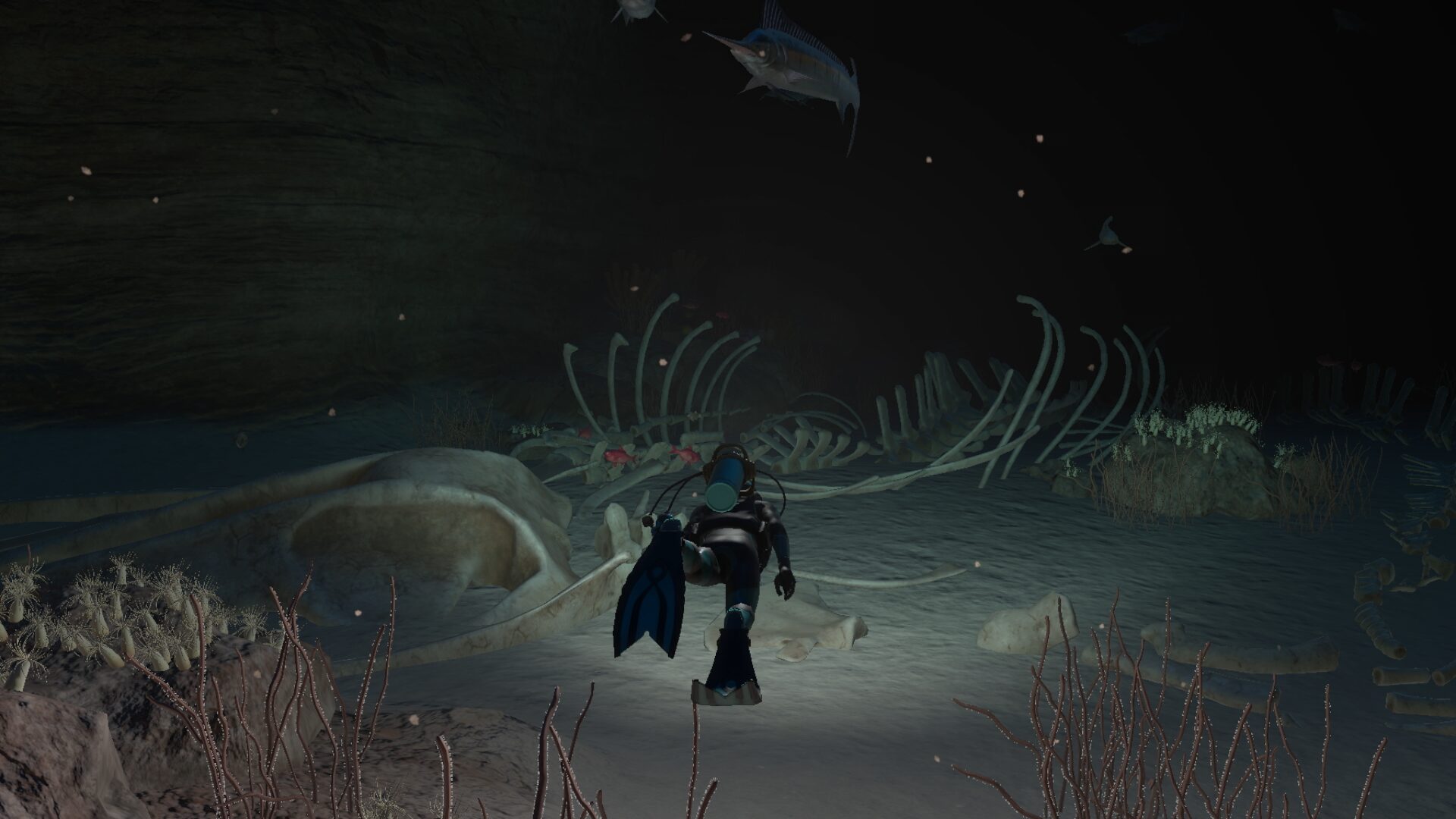 Un gros trailer pour Endless Ocean Luminous