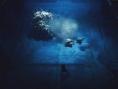 End of Abyss, par les anciens de Little Nightmares mais pas les mêmes que Reanimal