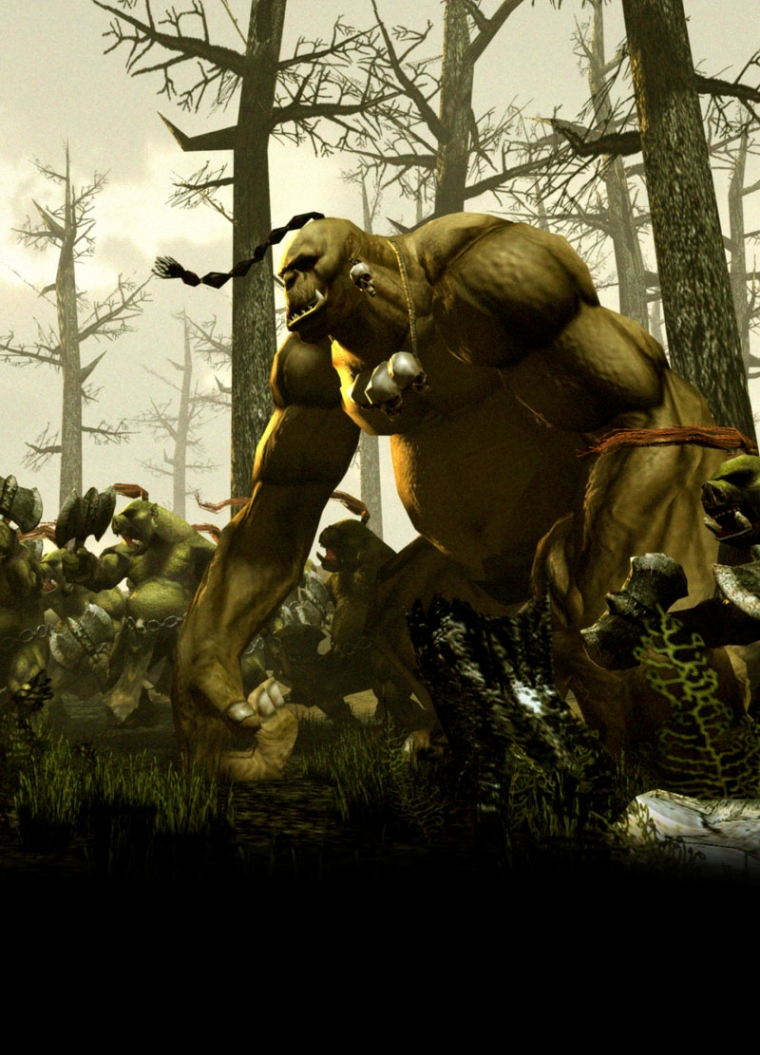 Kingdom under Fire 2 en images