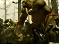 Kingdom under Fire 2 en images