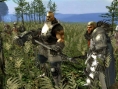 Kingdom Under Fire en images