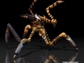 Starship Troopers : flopée d'images