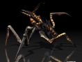 Starship Troopers : flopée d'images