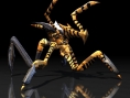 Starship Troopers : flopée d'images
