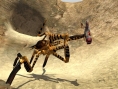 Starship Troopers : flopée d'images