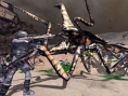 L'invasion des arachnides