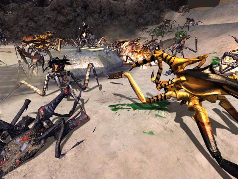 L'invasion des arachnides
