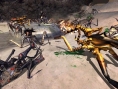 L'invasion des arachnides
