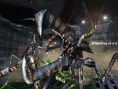 L'invasion des arachnides