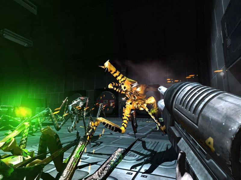L'invasion des arachnides