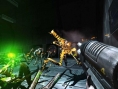 L'invasion des arachnides