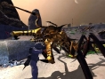L'invasion des arachnides