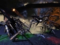 Starship Troopers et les arachnides