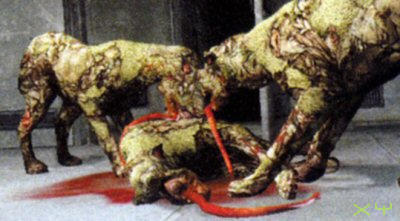 Silent Hill 4 : Plus d'images