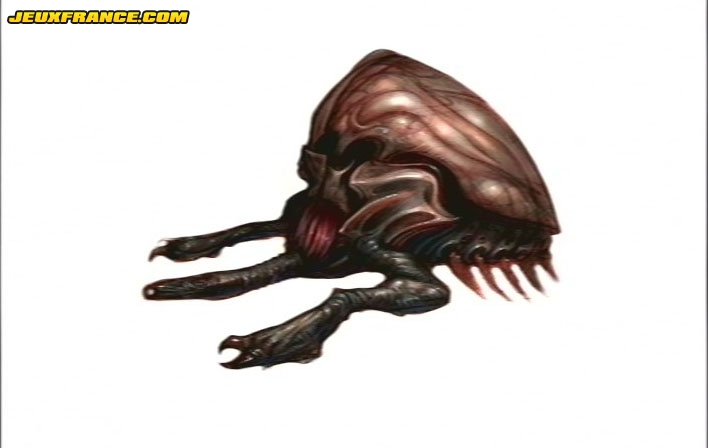 Metroid Prime 2 : 159 images !