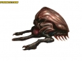 Metroid Prime 2 : 159 images !