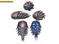 Metroid Prime 2 : 159 images !