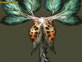 Metroid Prime 2 : 159 images !