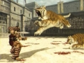 Un gladiateur dans l'arène