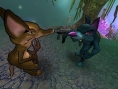 Creature Conflict : The Clan Wars
